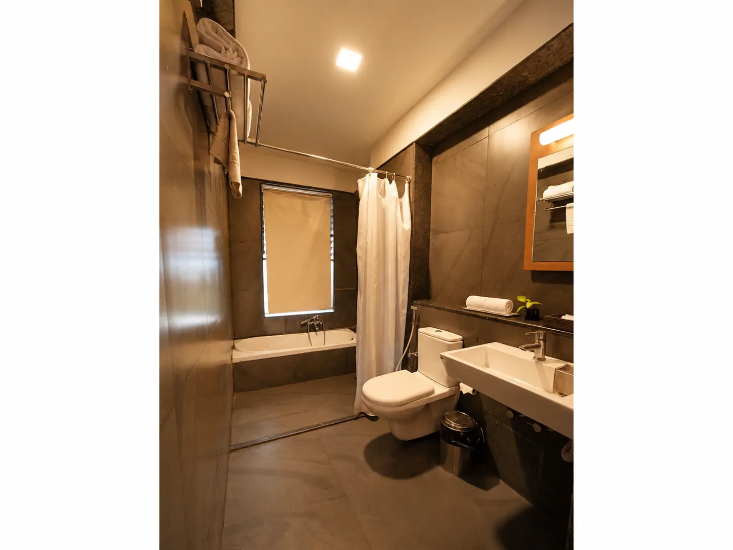 Luxury Suite room image 5